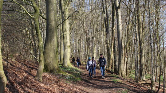 Pilgern für Jugendliche