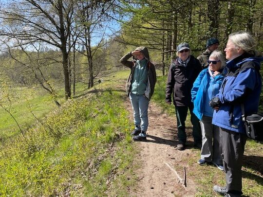 Eine Gruppe Menschen auf einem Waldweg