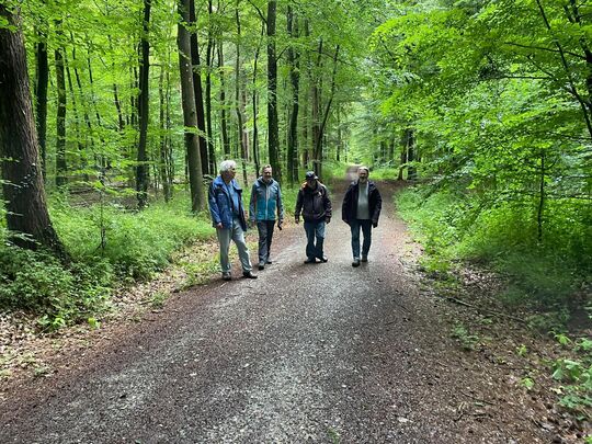 Gruppe beim Spaziergengehen