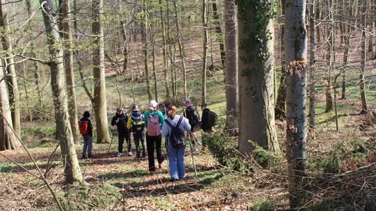 Pilgern für Jugendliche