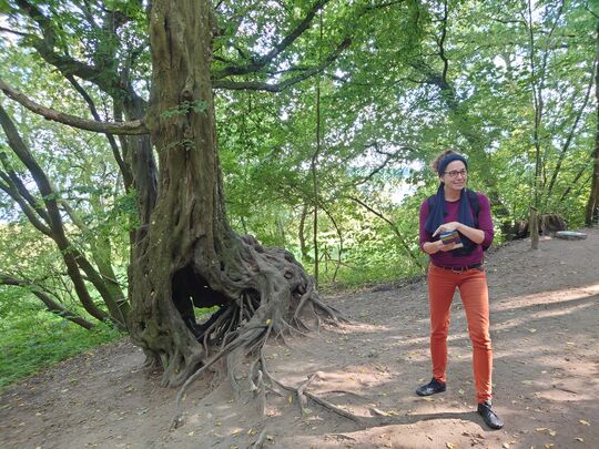 Ein besonderer Baum mit starken Wurzeln