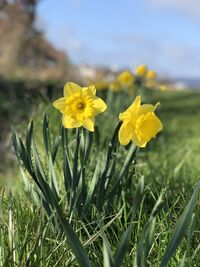 <a href="/nachrichten/artikel/nachricht/glaubenlebenhoffen-20-1.html" target="_self">#glaubenlebenhoffen</a>