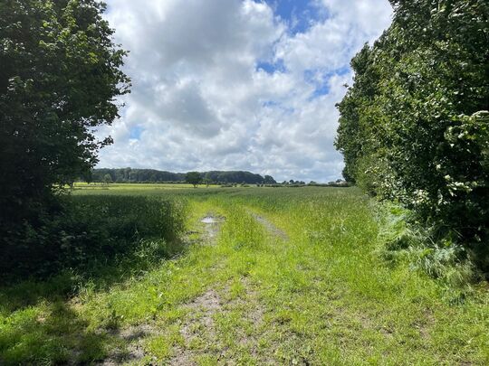 Blick ins Autal