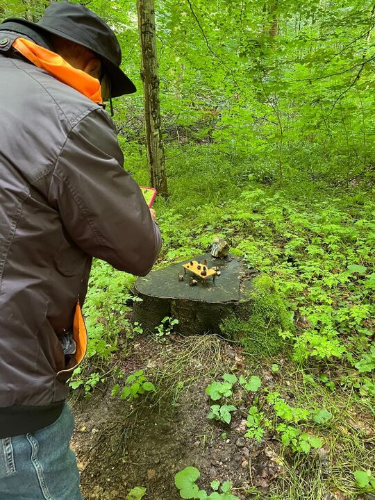 Mann fotografiert Baumstumpf