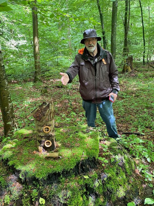 Mini-Häuschen im Wald