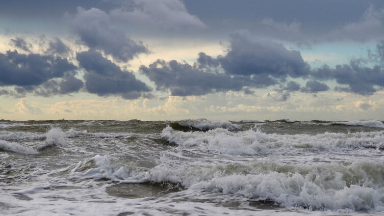 Foto: Johannes Ahrens