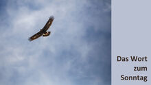 Das Wort zum Sonntag - 19.04.2020