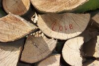 <a href="/nachrichten/artikel/nachricht/kleine-auszeit-bis-dass-der-tod-uns-scheidet.html" target="_self">Kleine Auszeit: „...bis dass der Tod uns scheidet!“</a>