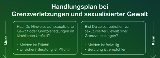 Handlungsplan, Ausschnitt