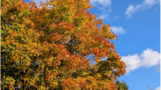 Foto: Jessika Boenigk