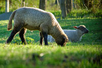 <a href="/nachrichten/artikel/nachricht/kleine-auszeit-frieden-fuehlen.html" target="_self">Kleine Auszeit: &quot;Frieden Fühlen&quot;</a>