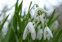 <a href="/nachrichten/artikel/nachricht/kleine-auszeit-vertrauen.html" target="_self">Kleine Auszeit: "Vertrauen"</a>