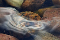 <a href="/nachrichten/artikel/nachricht/kleine-auszeit-innehalten-im-sturm.html" target="_self">Kleine Auszeit: &quot;Innehalten im Sturm&quot;</a>