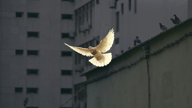 Foto: Sunguk Kim - Unsplash