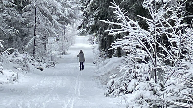 Foto: Marcus Friedrich