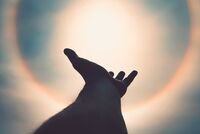 <a href="/nachrichten/artikel/nachricht/vortrag-zum-christlichen-blick-auf-nahtod-und-tod.html" target="_self">Vortrag zum christlichen Blick auf Nahtod und Tod</a>