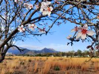 <a href="/nachrichten/artikel/nachricht/kleine-auszeit-fruehling.html" target="_self">Kleine Auszeit: &quot;Frühling&quot;</a>