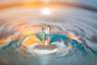 <a href="/nachrichten/artikel/nachricht/kleine-auszeit-ein-abwasch-und-fertig.html" target="_self">Kleine Auszeit: "Ein Abwasch - und fertig?"</a>