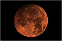 <a href="/nachrichten/artikel/nachricht/kleine-auszeit-rettungsboot-im-universum.html" target="_self">Kleine Auszeit: "Rettungsboot im Universum"</a>