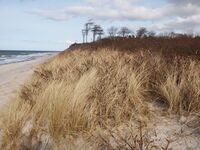 <a href="/nachrichten/artikel/nachricht/kleine-auszeit-die-natur-unsere-schwester.html" target="_self">Kleine Auszeit: &quot;Die Natur, unsere Schwester!&quot;</a>