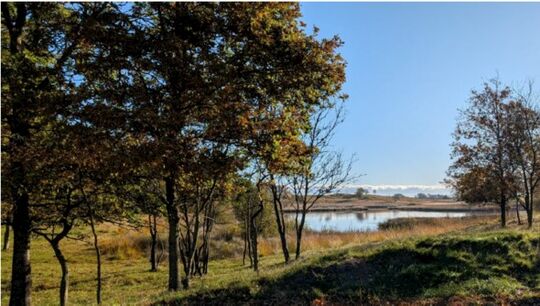 Foto: Jessika Boenigk