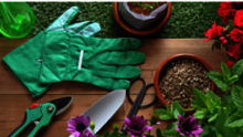 Gartentag Herbst 2026