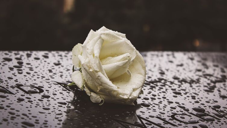 Foto: olga-muller/unsplash.de