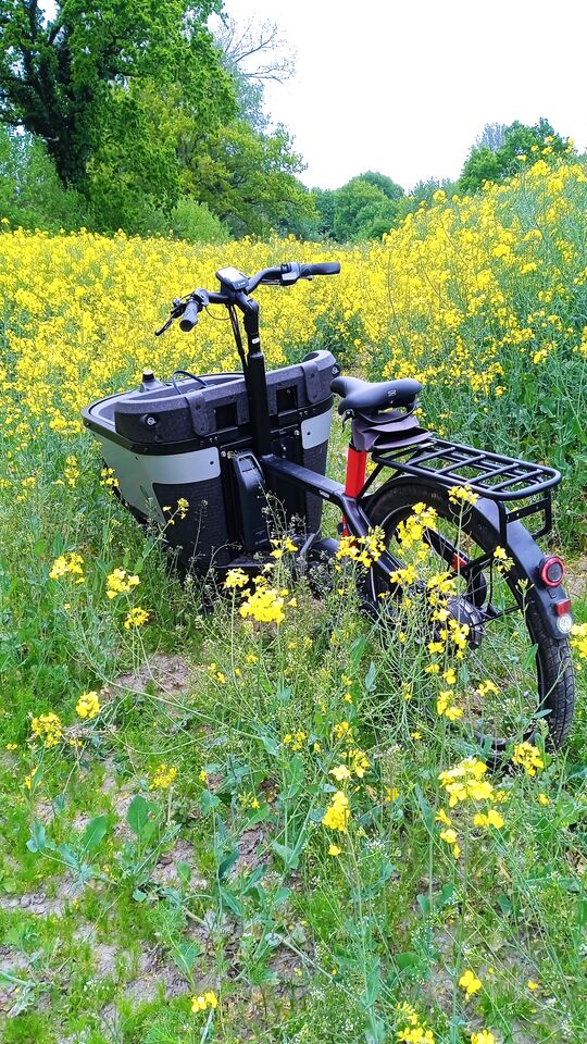 Lastenfahrrad