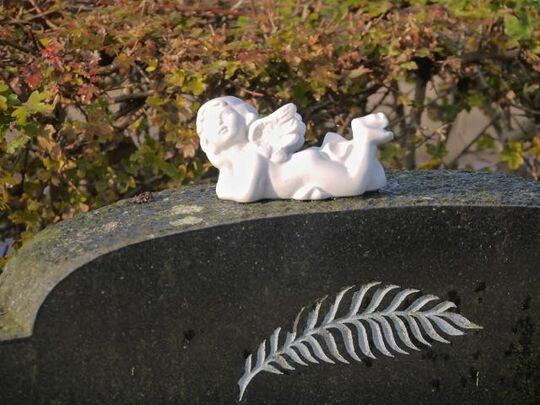 9LWIgG+QQLeX2a0j%XxV5Q