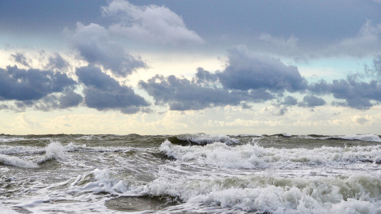 Foto: ©Johannes Ahrens