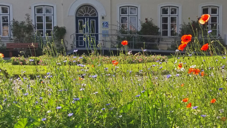 Die Blühwiese vor unserem Regionalzentrum