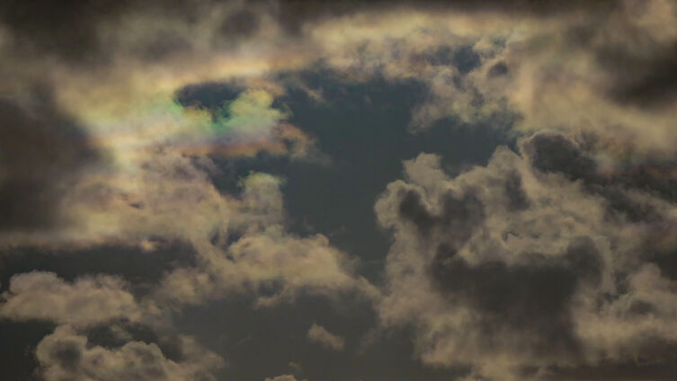 Farbe im Grau (Foto: Franziska Suhail)