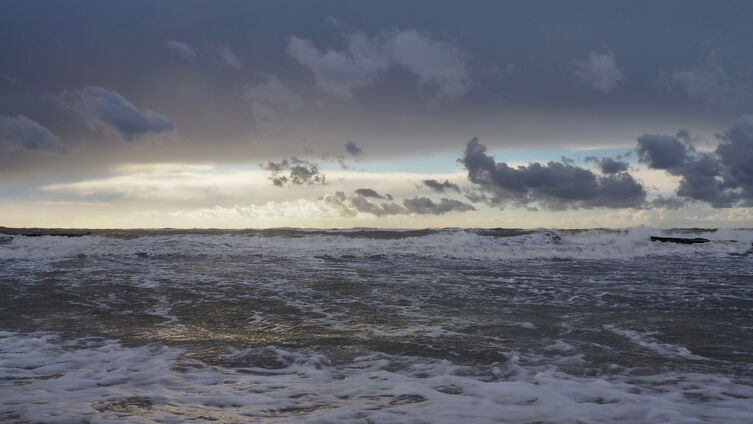 Foto: Johannes Ahrens