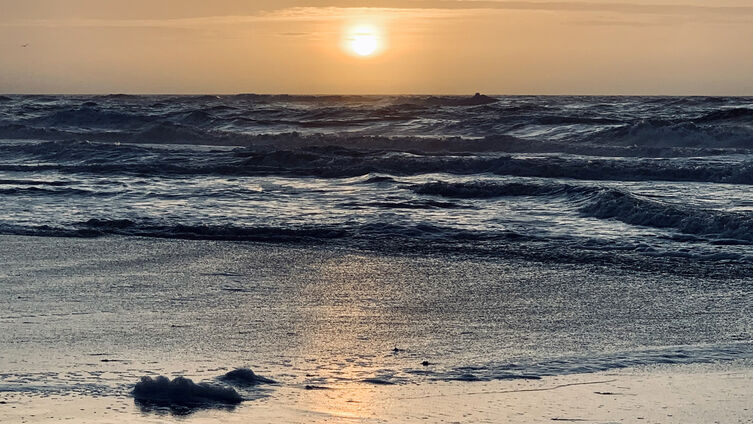 Foto: Hartwig Freese