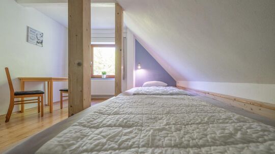 Altes Pastorat Zweibettzimmer Nr. 6