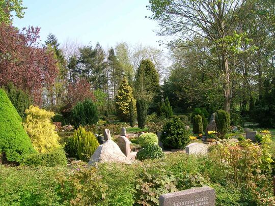 Friedhof Medelby