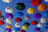 <a href="/nachrichten/artikel/nachricht/ergebnis-der-wahl-der-mitarbeitervertetung.html" target="_self">Ergebnis der Nachwahl für die Mitarbeitervertretung 2024</a>