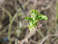 <a href="/nachrichten/artikel/nachricht/dem-leben-begegnen-ein-spiritueller-onlinekurs-1.html" target="_self">Dem Leben begegnen - ein spiritueller Onlinekurs</a>