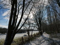 <a href="/nachrichten/artikel/nachricht/mit-postkarten-eigene-winterwege-gehen-2-2.html" target="_self">Winterwege 2026</a>