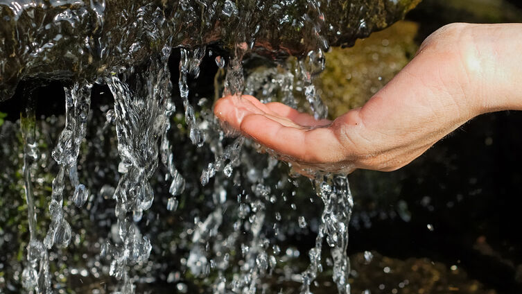 Hand Wasser