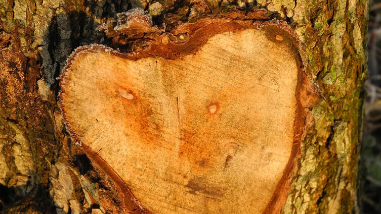Herz aus Holz Gabriele Sternberg