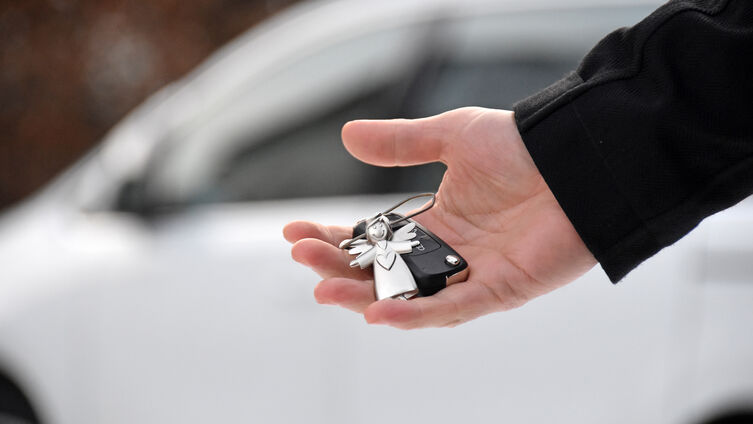 SHZ Keyless open Flemming Stadtland