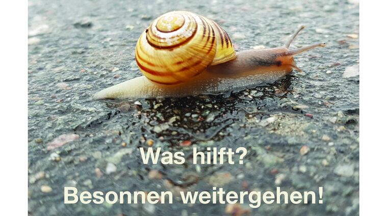 7 Besonnenheit