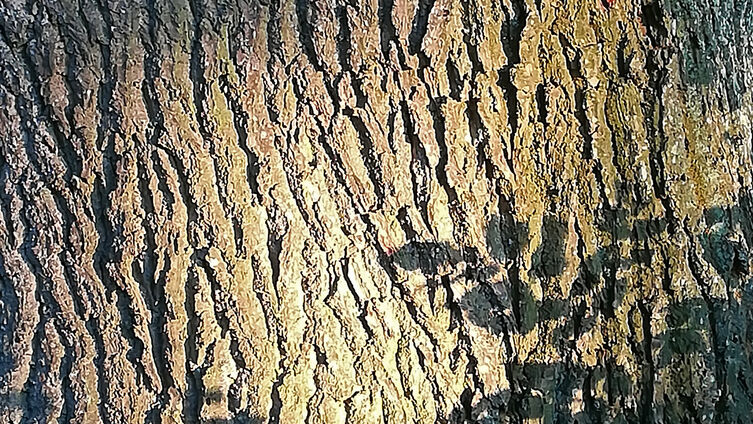 IMG 20180905 191408
