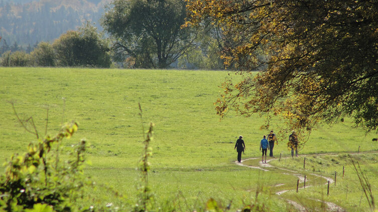 Wandern Feiertag Sonne Michael Haalbeck