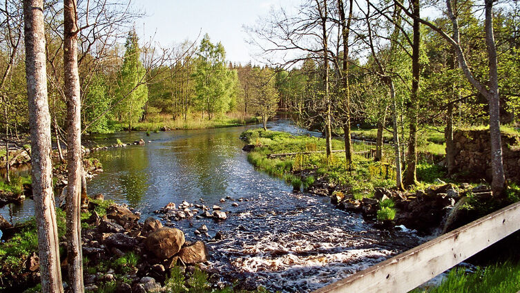Foto WzS 5 09 20 Fluss u Baume