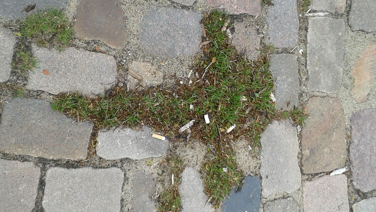 Foto: Christine Matzen