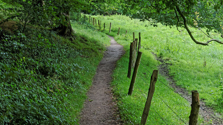 Wanderpfad Haalbeck