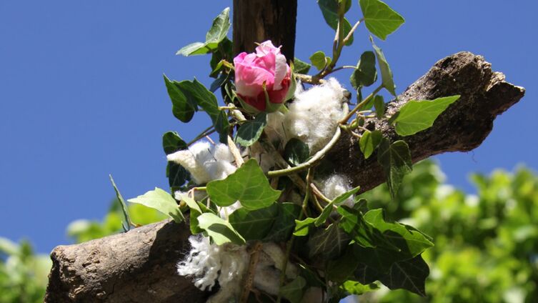 Gartenandachten2019