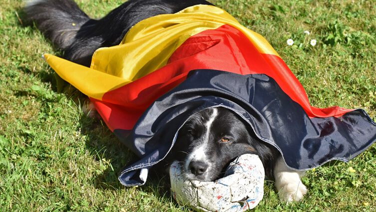 WM Fieber Stadtland